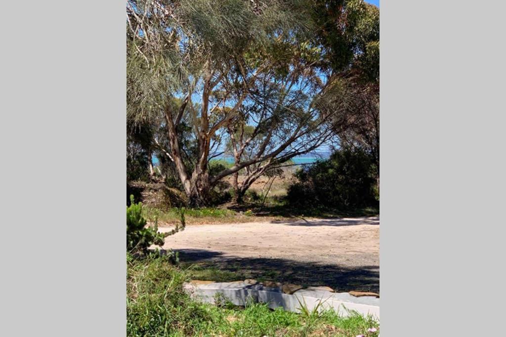 Leeward 'Tranquil Beachfront' キングスコート エクステリア 写真